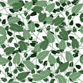 Digital Print Design 64