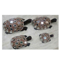 WOODEN MIRROR WORK TURTLE  MYWH2888