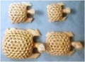 WOODEN CAMEL SET OF 5 PCS MYWH3049