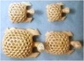 WOODEN CAMEL SET OF 5 PCS MYWH3049
