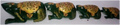 WOODEN COLOUR EMBOSSED WORK FROG MYWH2899