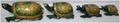 WOODEN COLOUR EMBOSSED WORK TURTLE MYWH2900